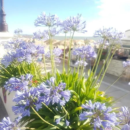 Apartament Madame A 2 Pers *